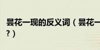 曇花一現的反義詞(曇花一現的反義詞是什么?)