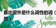 喜出望外是什么詞性的詞(喜出望外是什么意思)