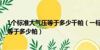 1個標準大氣壓等于多少千帕(一標準大氣壓等于多少千帕等于多少帕)