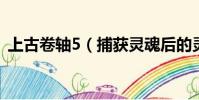 上古卷軸5(捕獲靈魂后的靈魂石有什么用)