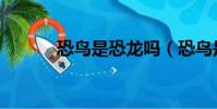 恐鳥是恐龍嗎(恐鳥是什么鳥)