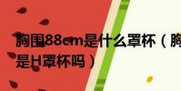 胸圍88cm是什么罩杯(胸圍是98cm有可能是H罩杯嗎)