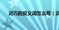 靈巧的反義詞怎么寫(靈巧的反義詞)