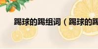 踢球的踢組詞(踢球的踢組詞是什么)