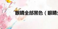 眼睛全部黑色(眼睛全部歌詞)