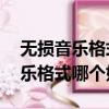 無損音樂格式能否轉換成mp3格式（無損音樂格式哪個好）