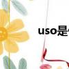 uso是什么基金（uso是什么）