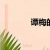 譚梅的小說遭受了許多攻擊。