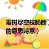 霜樹盡空枝腸斷丁香結的詩句意思（霜樹盡空枝腸斷丁香結的意思詩意）
