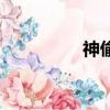 神偷（關于神偷的簡介）
