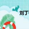 劉丁碩個人資料（劉丁碩）