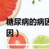糖尿病的病因與發病機制是什么（糖尿病的病因）