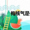 梅核氣是什么原因造成的（梅核仁）