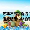 芭蕉不展丁香結 丁香空結雨中愁的意思（芭蕉不展丁香結丁香空結雨中愁的意思）