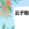 云子煙多少錢一包（云子可信）