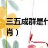 三五成群是什么意思視頻（三五成群是什么生肖）