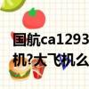 國航ca1293機型（國航CA119是什么樣的飛機?大飛機么）