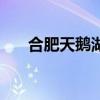 合肥天鵝湖照片（合肥天鵝湖好玩嗎）