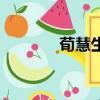 荀慧生（關于荀慧生的簡介）