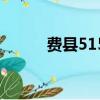 費縣515（關于費縣515的簡介）
