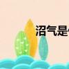 沼氣是什么味道（沼氣是什么）