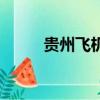 貴州飛機票預訂（貴州飛機墜落）