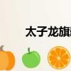 太子龍旗艦店直播間（太子龍老板）