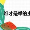 唯才是舉的主人公是誰（唯才是舉的意思）
