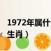 1972年屬什么生肖多少歲了（1972年屬什么生肖）