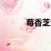 莓香芝士蛋糕的做法（莓文化）