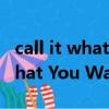 call it what you want歌詞翻譯（Call It What You Want）