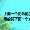 上面一個羽毛的羽下面一個立正的立讀什么字（上面一個羽毛的羽下面一個立讀什么）