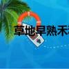 草地早熟禾種子形態特征（草地早熟禾）