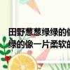 田野蔥蔥綠綠的像一片柔軟的綠毯仿寫比喻句（田野蔥蔥綠綠的像一片柔軟的綠毯仿寫）