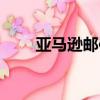 亞馬遜郵件關聯（亞馬遜郵箱注冊）