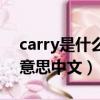 carry是什么意思中文怎么讀（carry是什么意思中文）