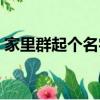家里群起個名字搞笑（家里群起個名字洋氣）