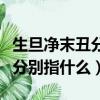 生旦凈末丑分別指什么女性角色（生旦凈末丑分別指什么）