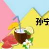 孫寧主演電視劇（孫 寧）
