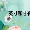 英寸和寸有差別嗎（英寸和寸的區別）