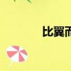 比翼而飛（比翼而飛的意思）