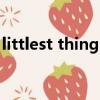littlest things（關于littlest things的簡介）