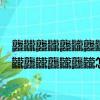 龘龖龘龖龘龖龘龖龘龖龘龖龘龖龘龖（龘龖龘龖龘龖龘龖龘龖龘龖龘龖龘龖怎么讀）