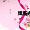魏斯婷（關于魏斯婷的簡介）