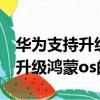 華為支持升級鴻蒙os的機型2020（華為支持升級鴻蒙os的機型）