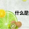 什么是煙嗓音（什么是煙感器）