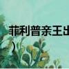 菲利普親王出軌（關于菲利普親王出軌的簡介）
