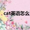 cat英語怎么讀中文諧音（cat英語怎么讀）
