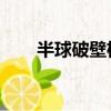 半球破壁機質量怎么樣（半球 一球）