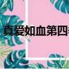 真愛如血第四季在線觀看（真愛如血好看嗎）